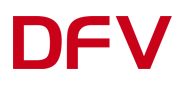 Logo Punto DFV