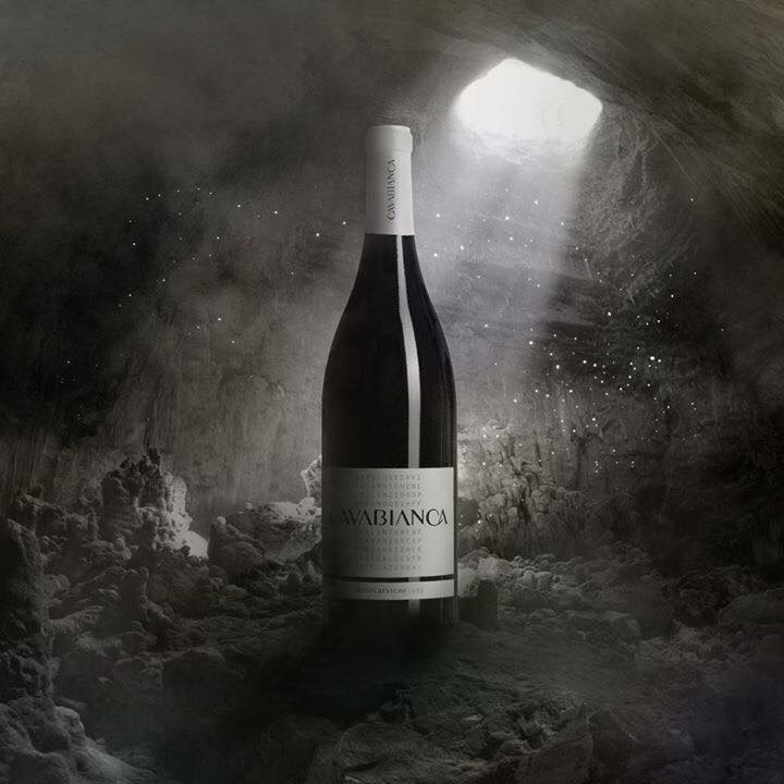 Etichette Terrecarsiche1936